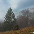 Osnica 07