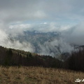 Osnica 13
