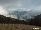 Osnica 13