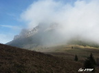 Osnica 14