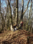 20131117 Brodnianka