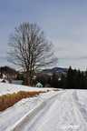 Beskydy 04