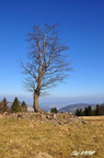 Martakovsky vrch 09