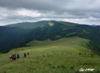 Ostredok 06