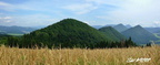 DSC02611 panorama