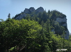 DSCF4406