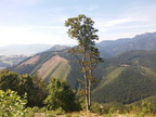 2015