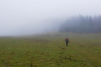 DSCF7968