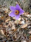 P1060459