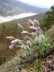 P1060462