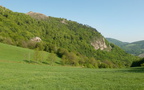 DSCF1198