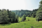 P1290201