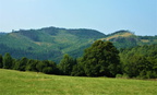 P1290206