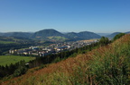 DSC05328