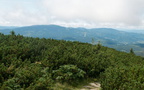 DSCF0285