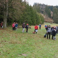 IMG 1161