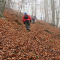 IMG 1171