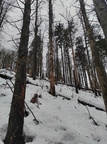 IMG 20231231 111520