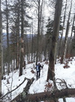 IMG 20231231 111534