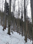 IMG 20231231 112747