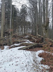 IMG 20231231 113945