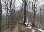 IMG 20231231 114332