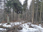 IMG 20231231 115342