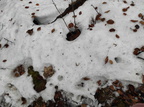 IMG 20231231 124147