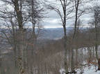 IMG 20231231 124152