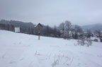 DSC03663