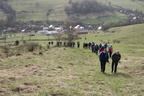 IMG 4431