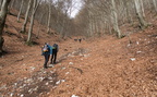 IMG 4434