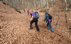 IMG 4436