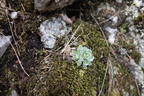 IMG 4445