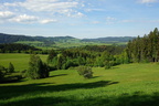 DSC06333