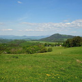DSC06365