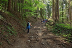 DSC06379