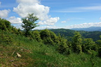 DSC06827