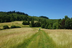 DSC07225