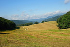 DSC08013