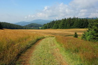 DSC08029