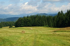 DSC08031