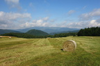 DSC08032