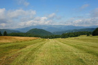 DSC08035