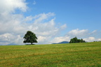 DSC08047