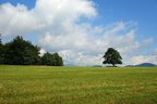 DSC08049