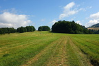 DSC08055
