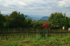 DSC08301