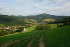 DSC08311