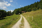 DSC08457